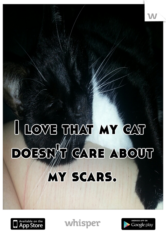 I love that my cat doesn't care about my scars.