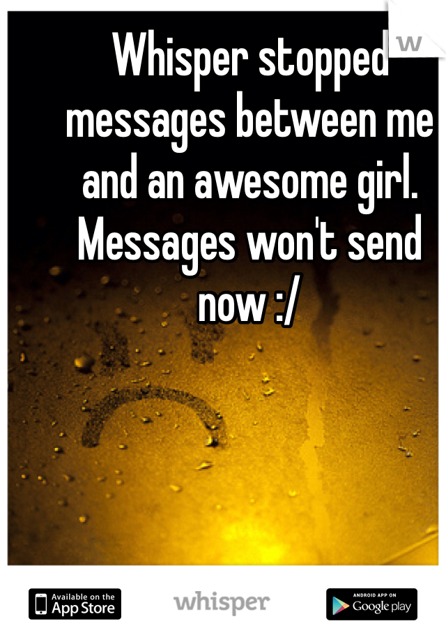 Whisper stopped messages between me and an awesome girl. Messages won't send now :/