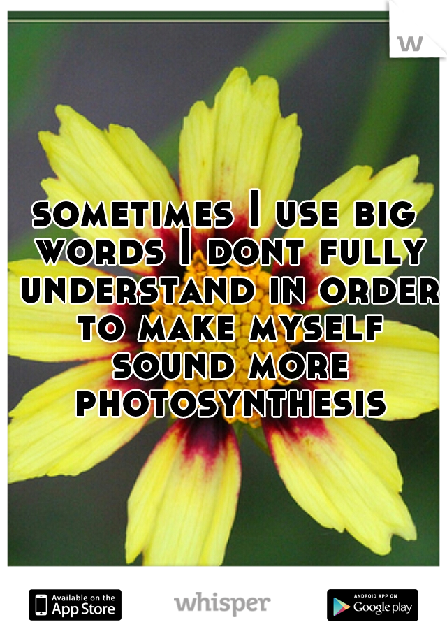 sometimes I use big words I dont fully understand in order to make myself sound more photosynthesis