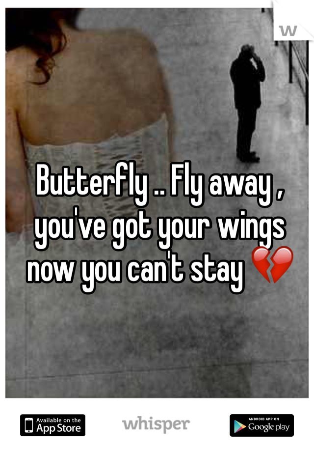 Butterfly .. Fly away , you've got your wings now you can't stay 💔