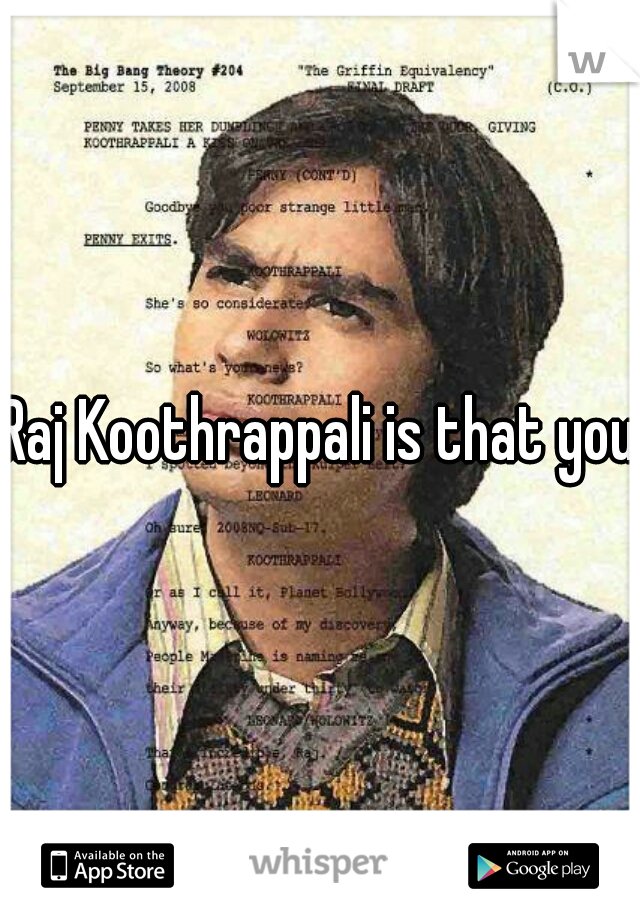 Raj Koothrappali is that you?
