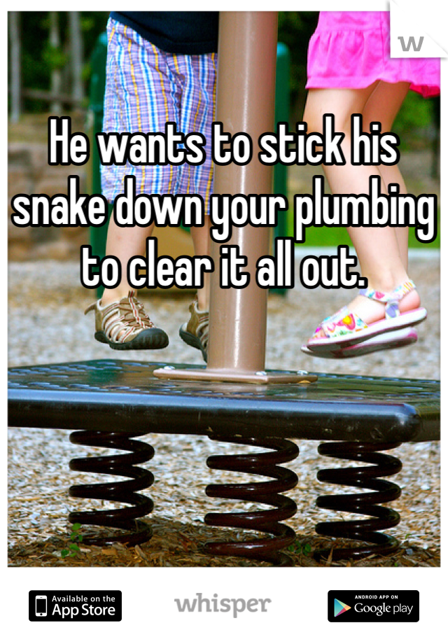 He wants to stick his snake down your plumbing to clear it all out. 