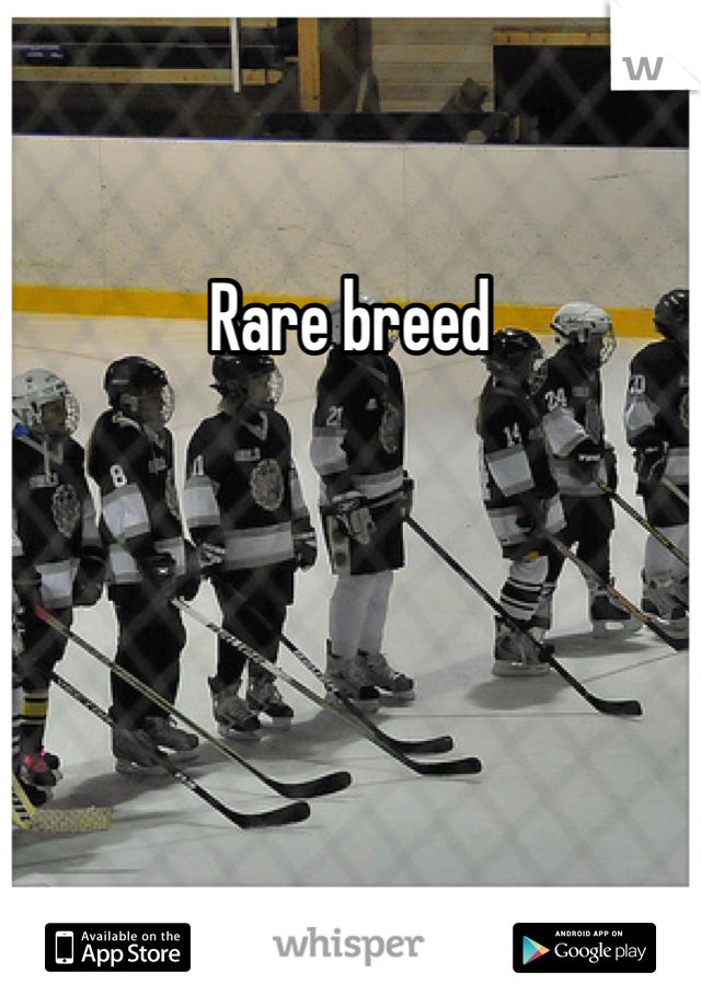 Rare breed 