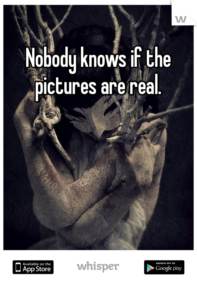 Nobody knows if the pictures are real. 