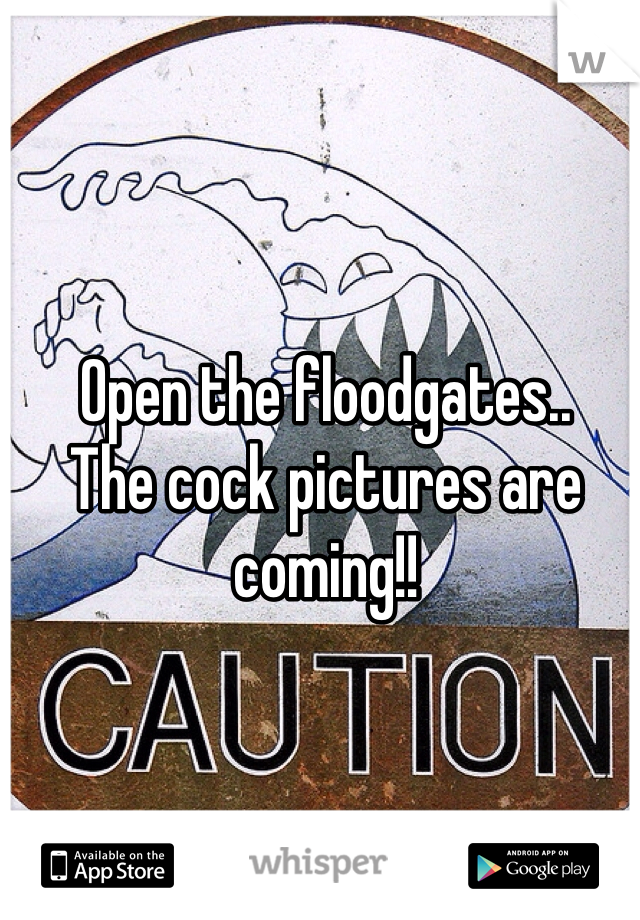 Open the floodgates..
The cock pictures are coming!!