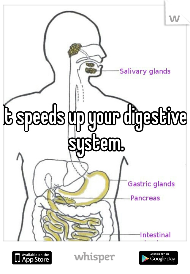 It speeds up your digestive system.