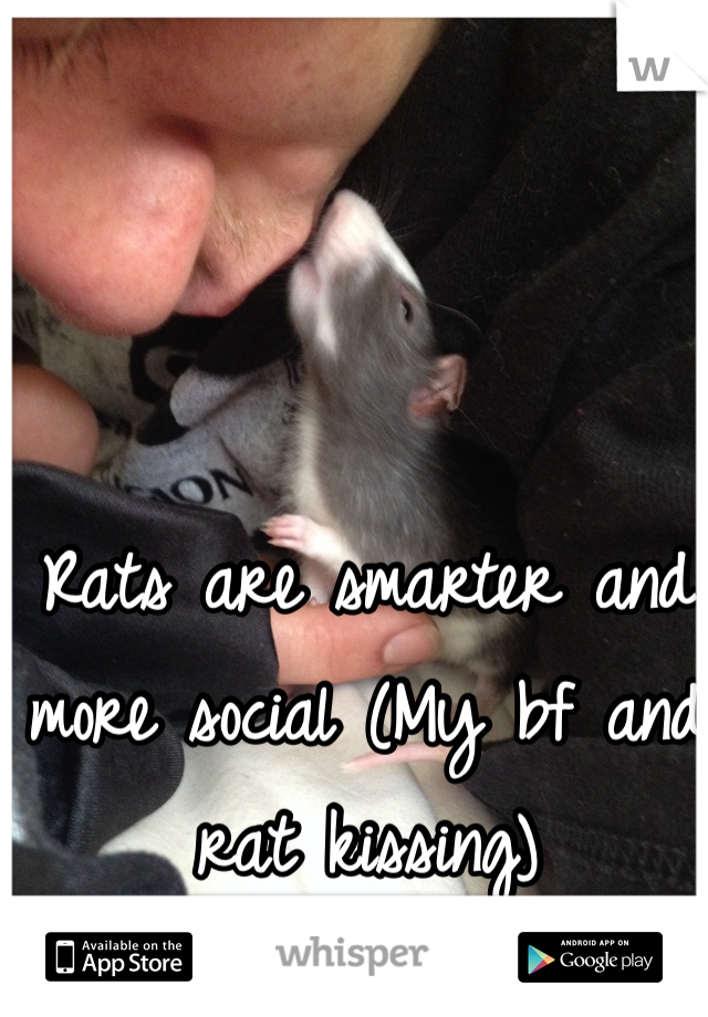 Rats are smarter and more social (My bf and rat kissing)