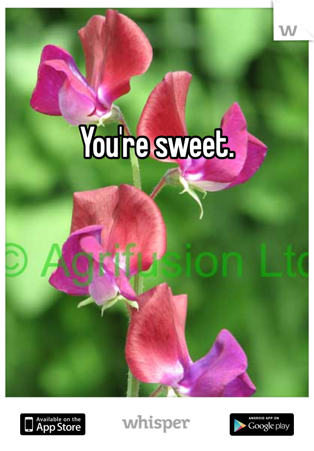 You're sweet. 