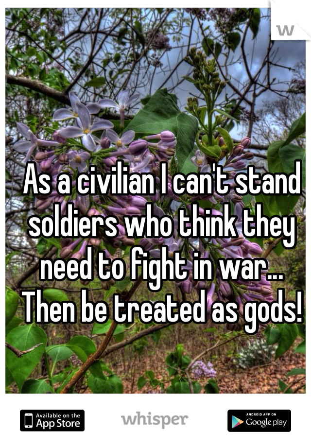 As a civilian I can't stand soldiers who think they need to fight in war... Then be treated as gods! 