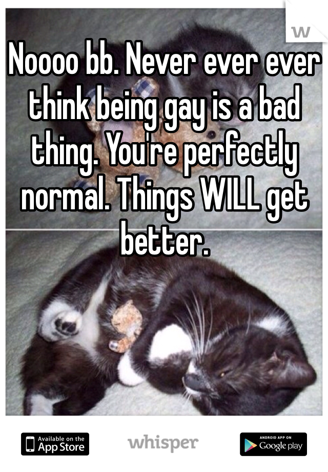 Noooo bb. Never ever ever think being gay is a bad thing. You're perfectly normal. Things WILL get better. 