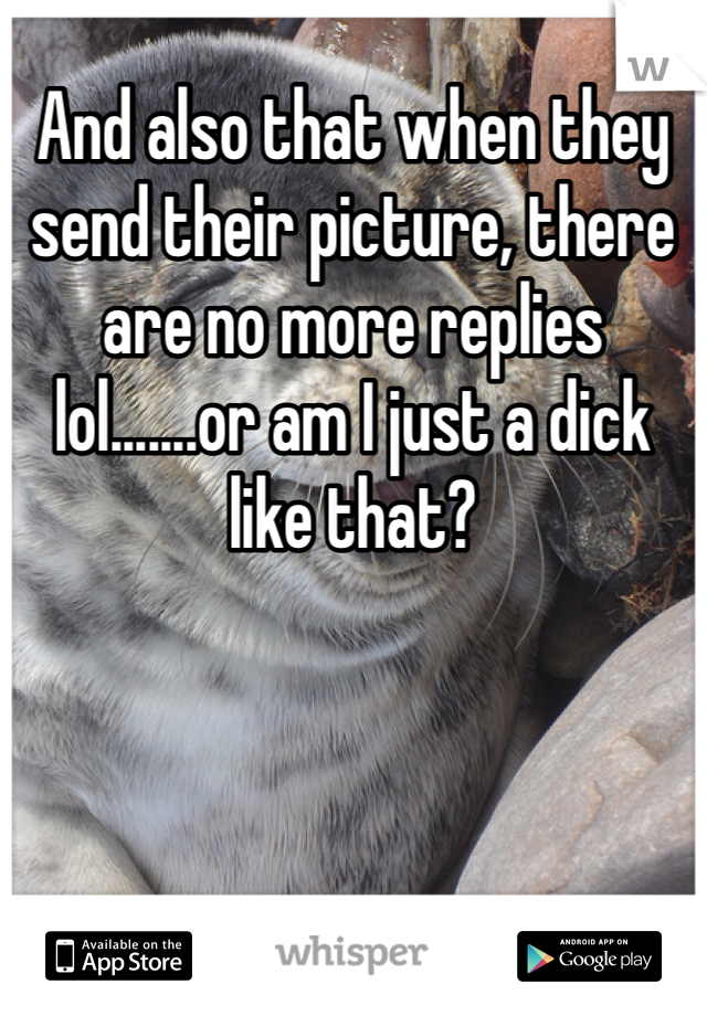 And also that when they send their picture, there are no more replies lol.......or am I just a dick like that?