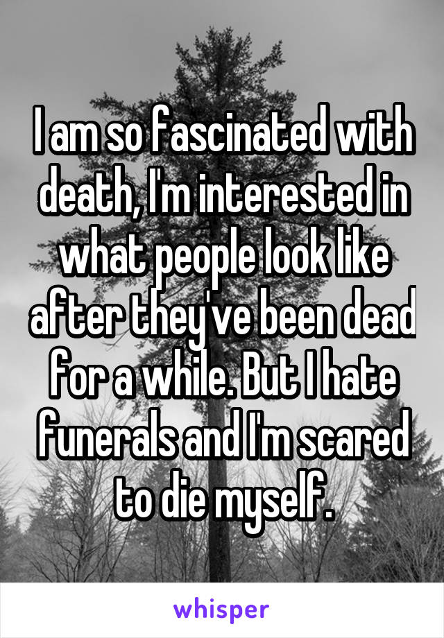 I am so fascinated with death, I'm interested in what people look like after they've been dead for a while. But I hate funerals and I'm scared to die myself.