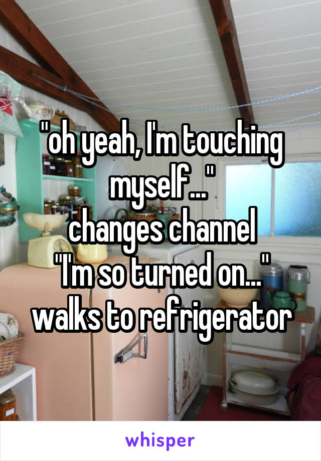 "oh yeah, I'm touching myself..."
changes channel
"I'm so turned on..."
walks to refrigerator