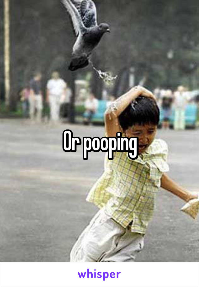 Or pooping