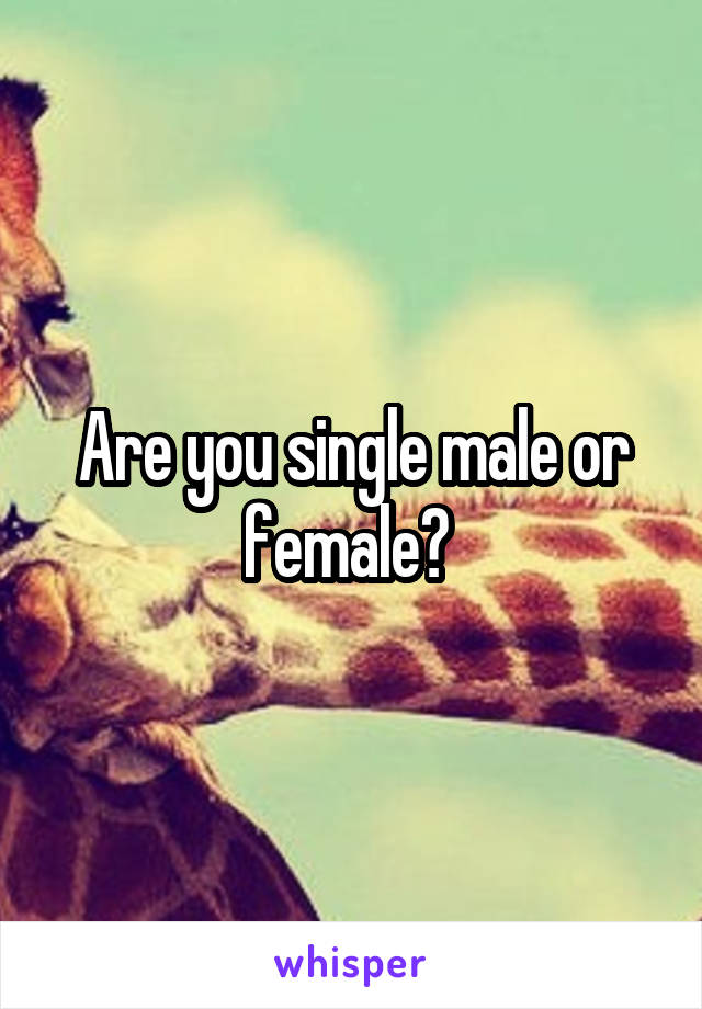 Are you single male or female? 