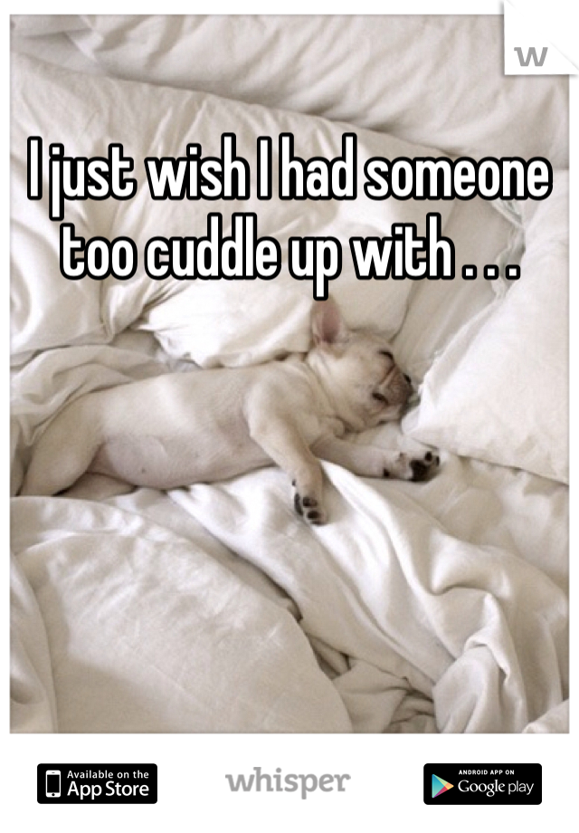 I just wish I had someone too cuddle up with . . .