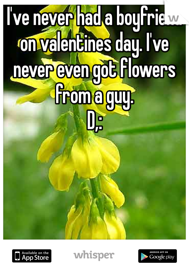 I've never had a boyfriend on valentines day. I've never even got flowers from a guy. 
D,: 