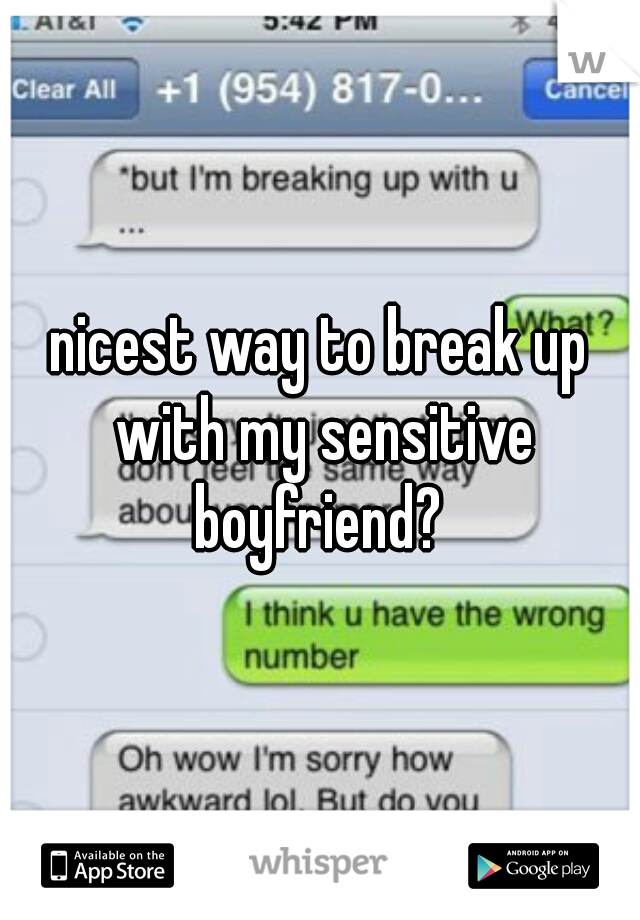 nicest way to break up with my sensitive boyfriend? 