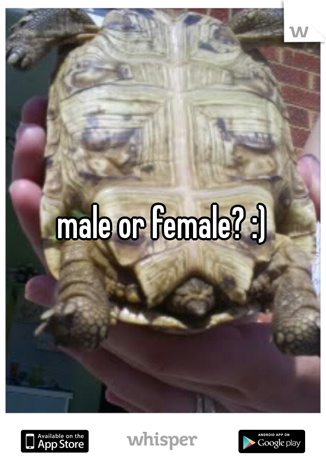 male or female? :)