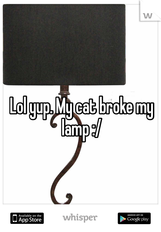 Lol yup. My cat broke my lamp :/