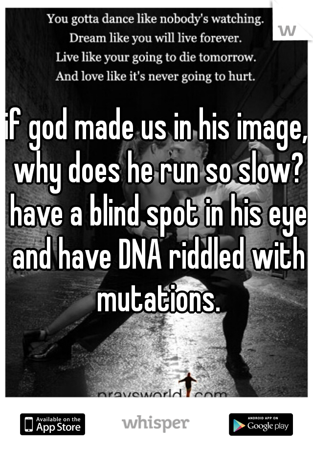 if god made us in his image, why does he run so slow? have a blind spot in his eye and have DNA riddled with mutations.