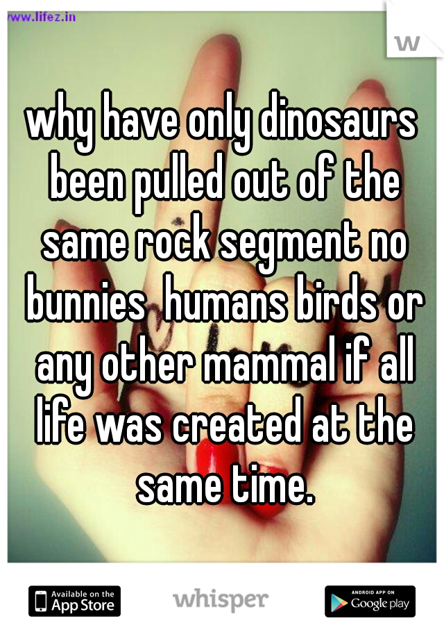 why have only dinosaurs been pulled out of the same rock segment no bunnies  humans birds or any other mammal if all life was created at the same time.