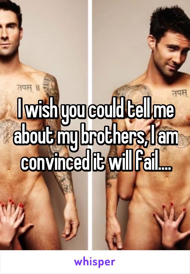 I wish you could tell me about my brothers, I am convinced it will fail....