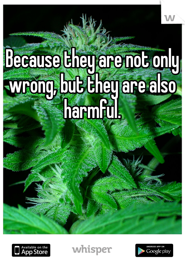 Because they are not only wrong, but they are also harmful. 
