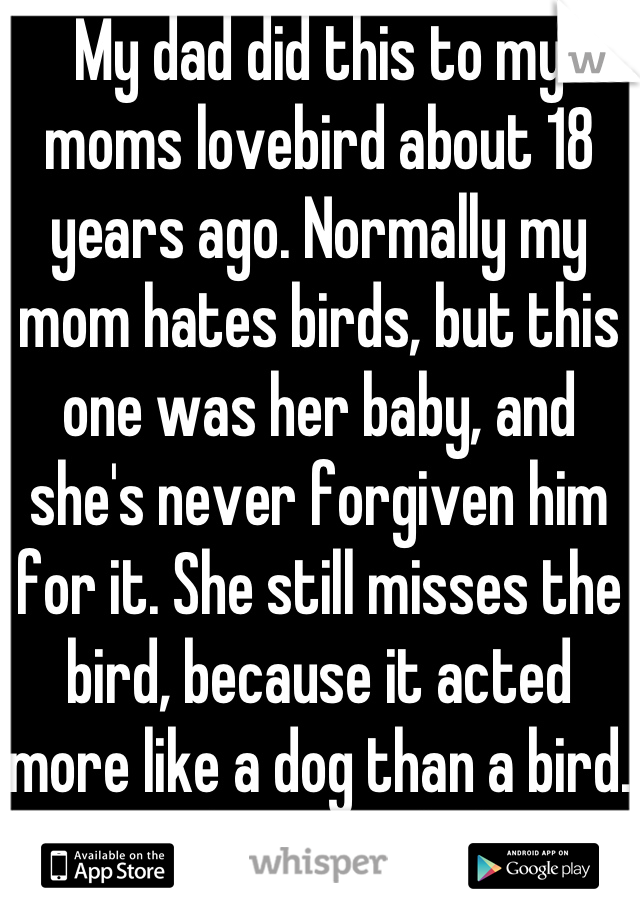 My dad did this to my moms lovebird about 18 years ago. Normally my mom hates birds, but this one was her baby, and she's never forgiven him for it. She still misses the bird, because it acted more like a dog than a bird. Fuck you asshole