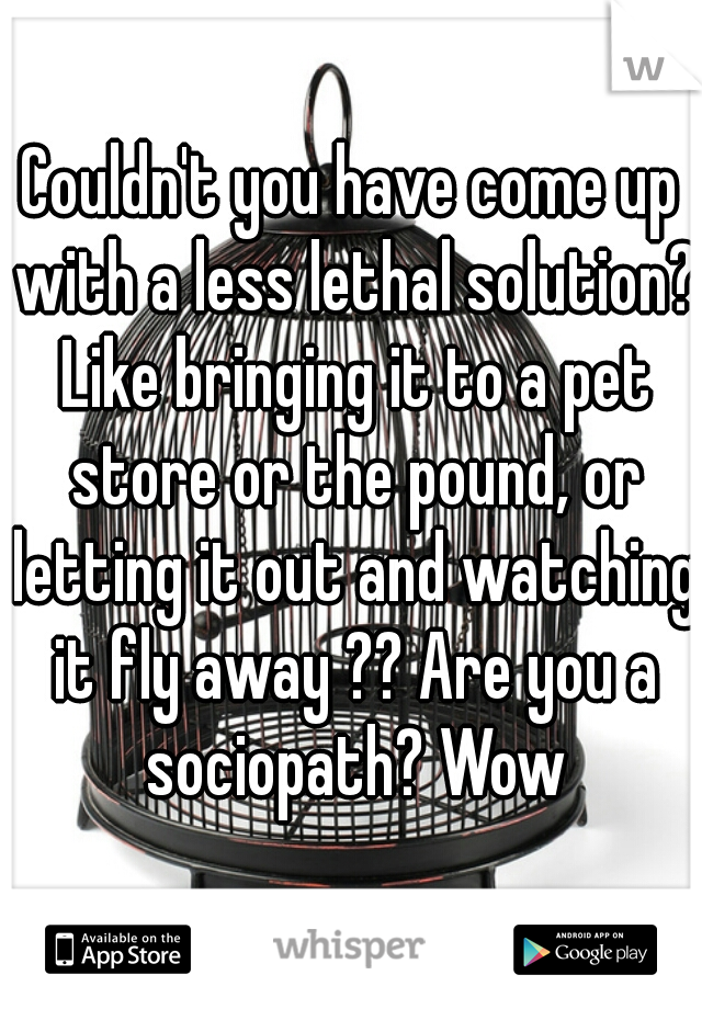 Couldn't you have come up with a less lethal solution? Like bringing it to a pet store or the pound, or letting it out and watching it fly away ?? Are you a sociopath? Wow