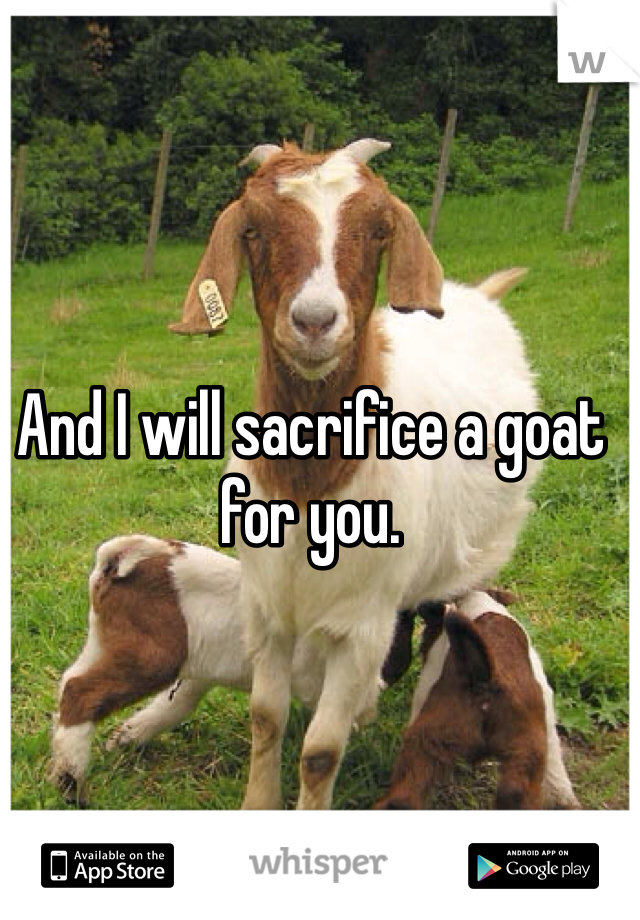 And I will sacrifice a goat for you. 