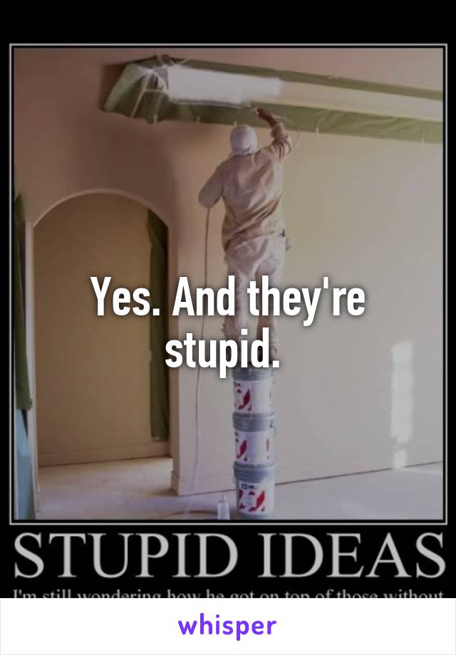 Yes. And they're stupid. 