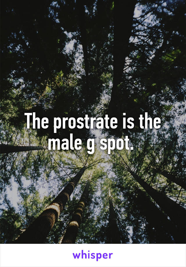 The prostrate is the male g spot. 