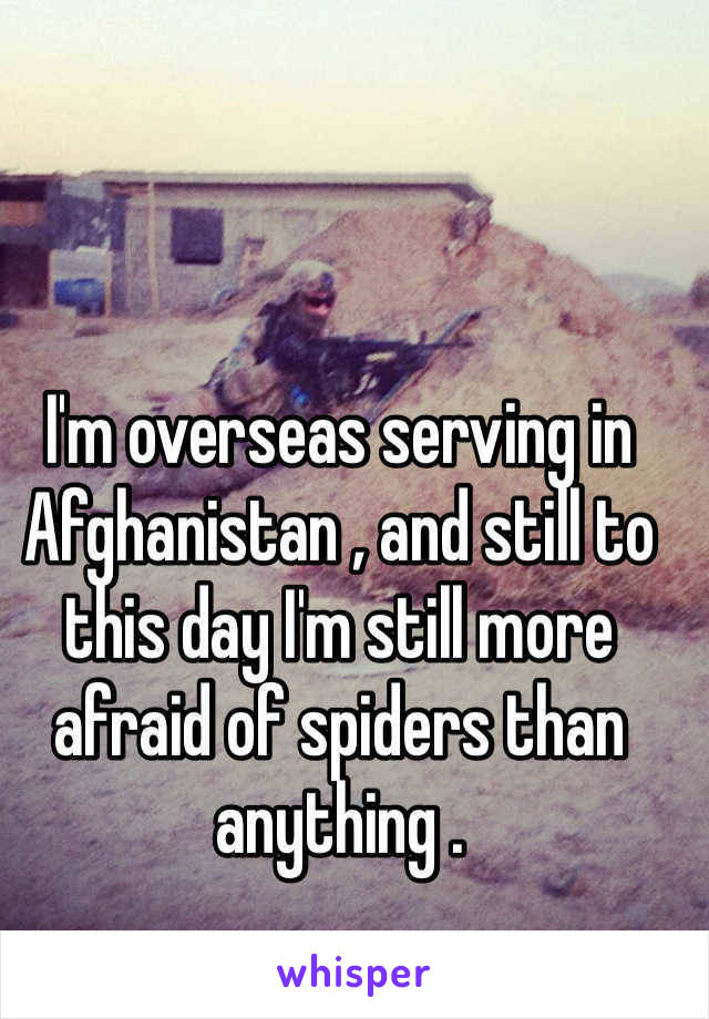 I'm overseas serving in Afghanistan , and still to this day I'm still more afraid of spiders than anything .