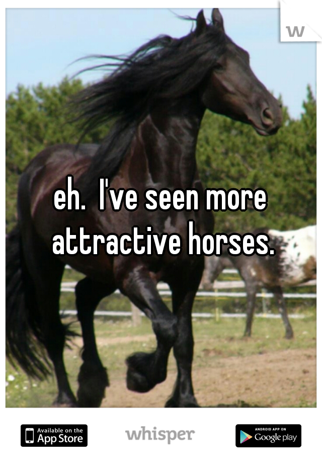 eh.  I've seen more attractive horses.