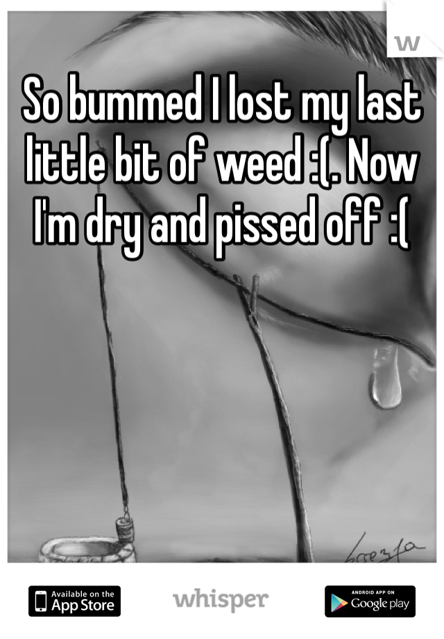 So bummed I lost my last little bit of weed :(. Now I'm dry and pissed off :(