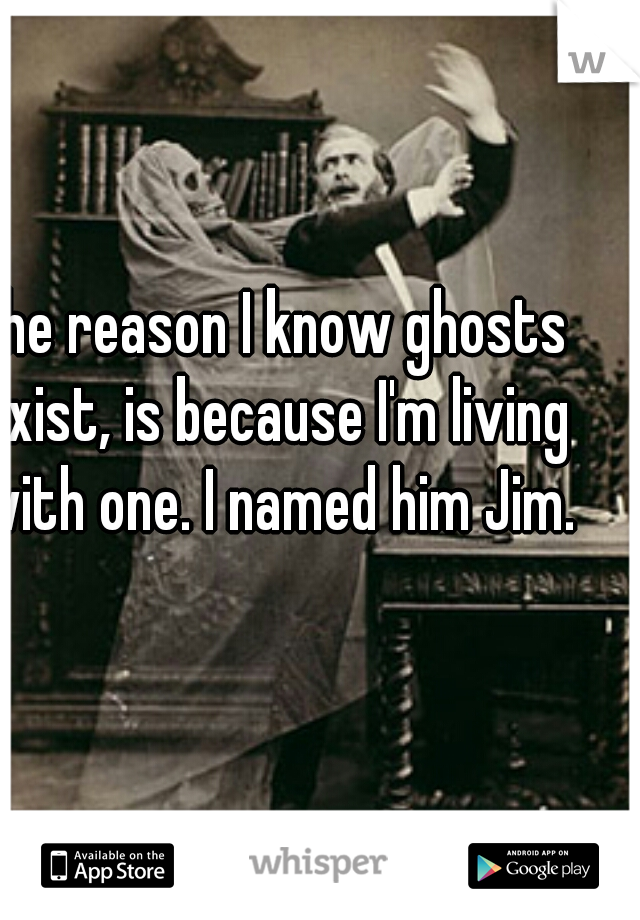The reason I know ghosts exist, is because I'm living with one. I named him Jim.
 