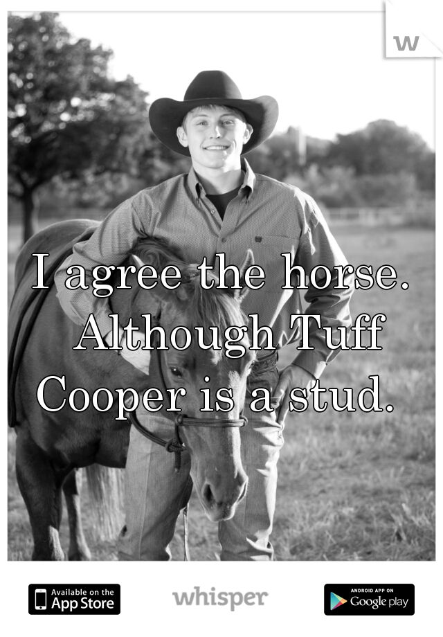 I agree the horse. Although Tuff Cooper is a stud.  