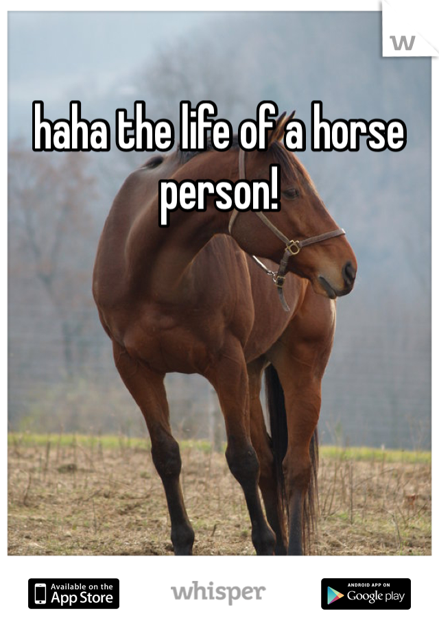 haha the life of a horse person!