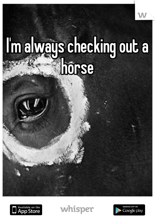 I'm always checking out a horse