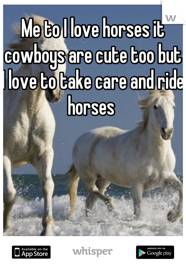 Me to I love horses it cowboys are cute too but I love to take care and ride horses 