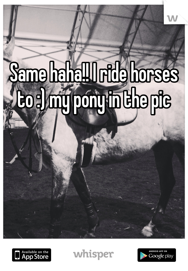 Same haha!! I ride horses to :) my pony in the pic