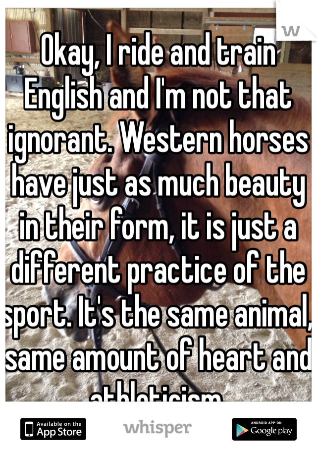 Okay, I ride and train English and I'm not that ignorant. Western horses have just as much beauty in their form, it is just a different practice of the sport. It's the same animal, same amount of heart and athleticism. 