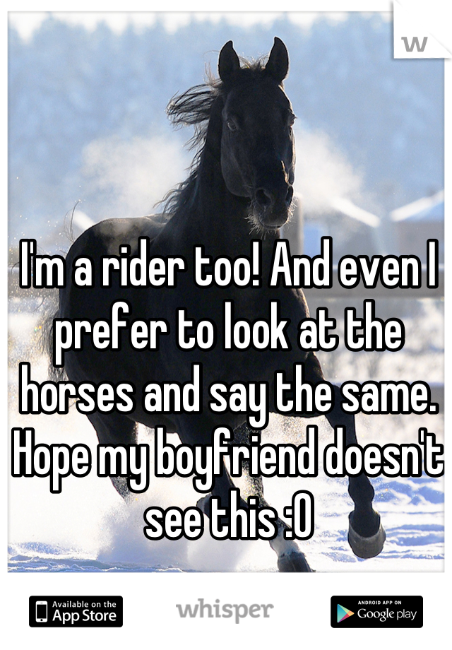 I'm a rider too! And even I prefer to look at the horses and say the same. 
Hope my boyfriend doesn't see this :O