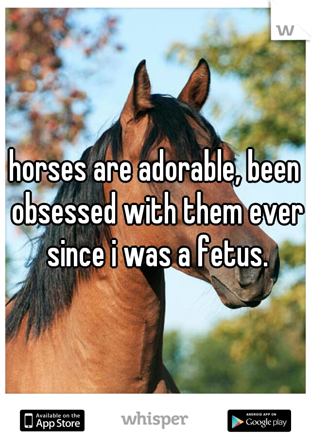 horses are adorable, been obsessed with them ever since i was a fetus.