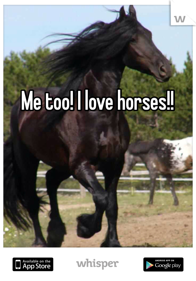 Me too! I love horses!!