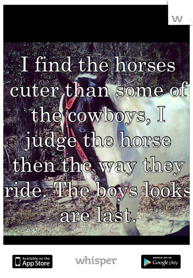 I find the horses cuter than some of the cowboys, I judge the horse then the way they ride. The boys looks are last.