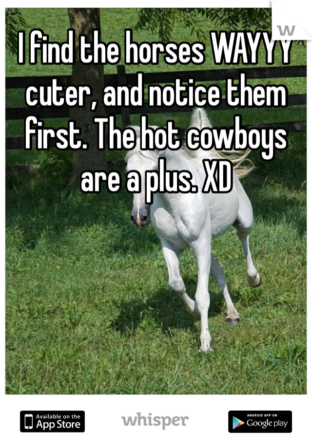 I find the horses WAYYY cuter, and notice them first. The hot cowboys are a plus. XD