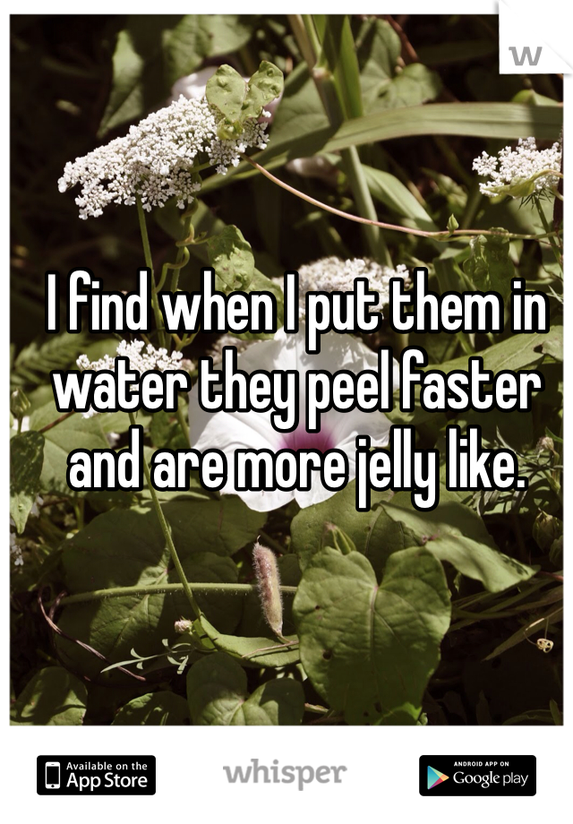 I find when I put them in water they peel faster and are more jelly like.