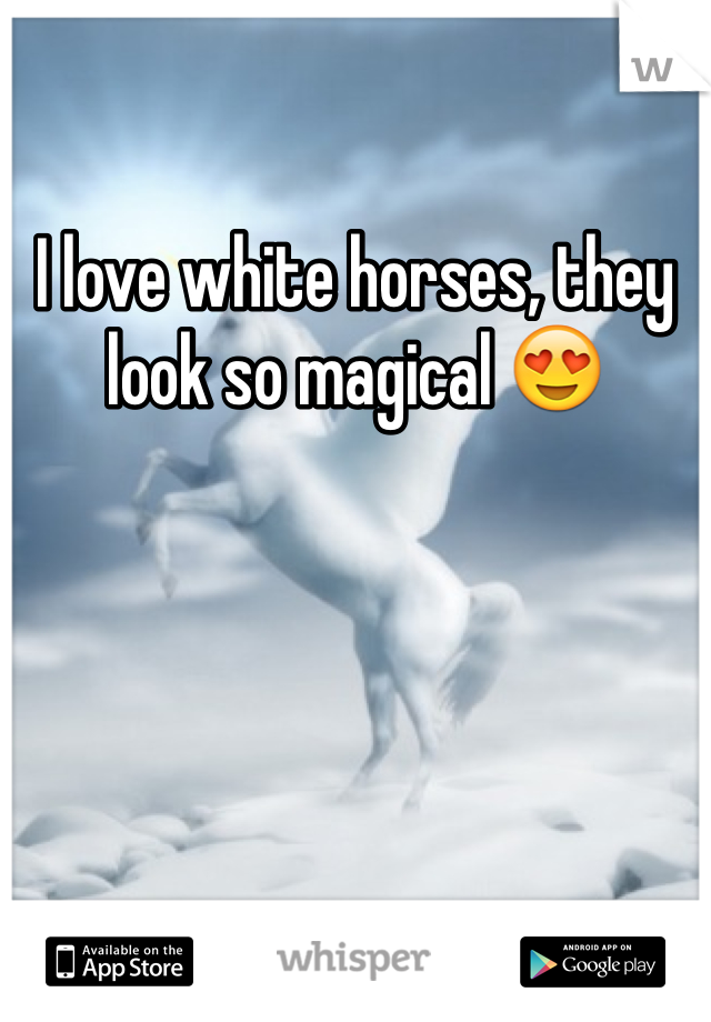 I love white horses, they look so magical 😍